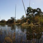 2016-Südafrika-01 - 14235845842014-08-24_Okavango2.jpg